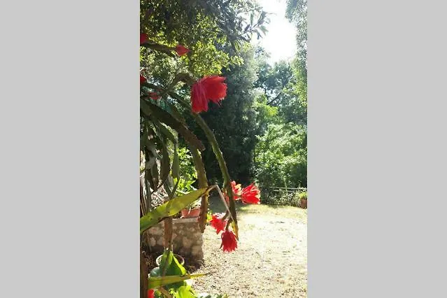 Appartement Nel Chianti Lungo La Francigena à Colle Val D'Elsa 0*,
