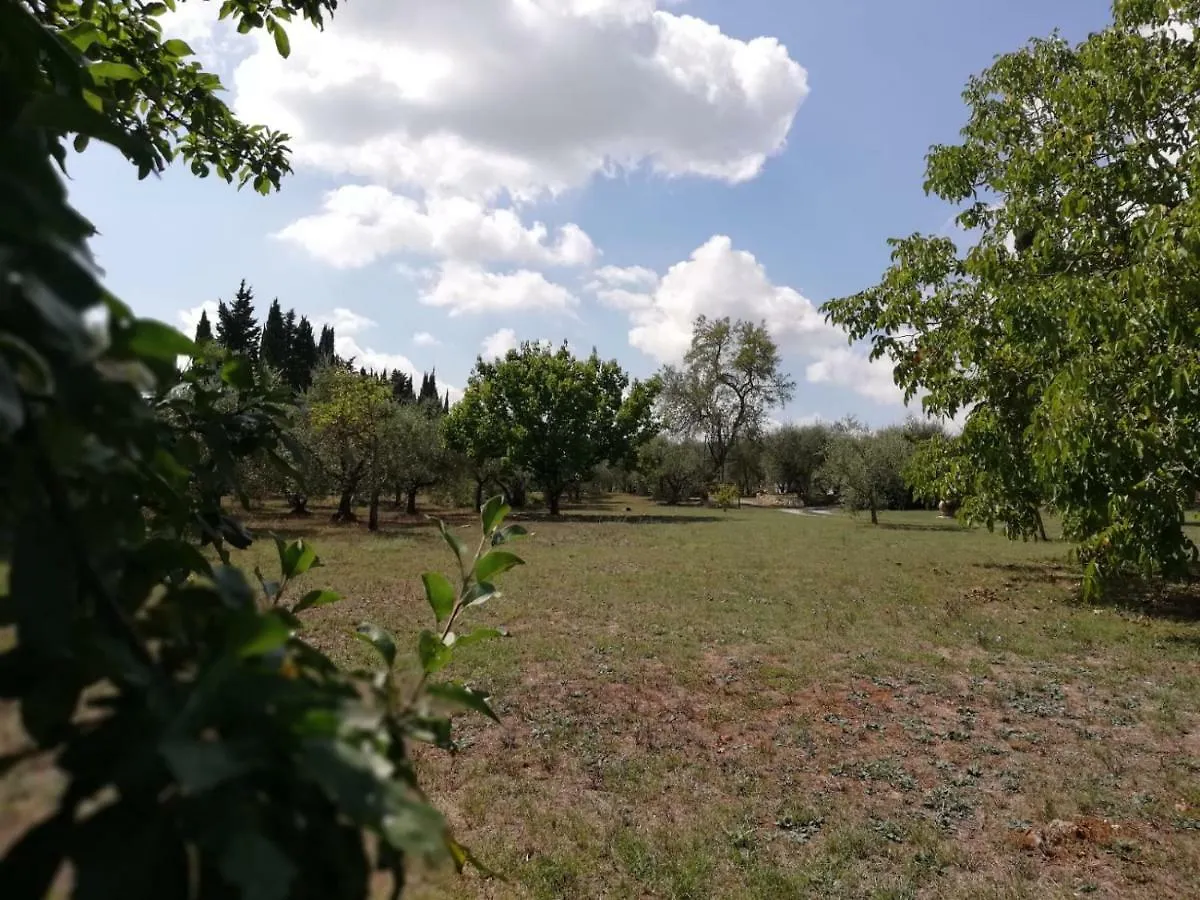 Appartement Nel Chianti Lungo La Francigena à Colle Val D'Elsa