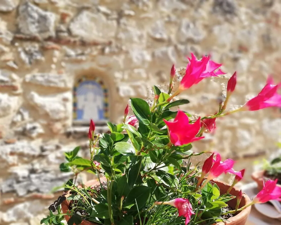 Appartement Nel Chianti Lungo La Francigena à Colle Val D'Elsa