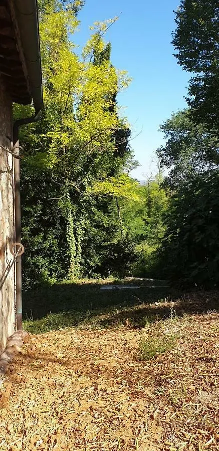 Appartement Nel Chianti Lungo La Francigena à Colle Val D'Elsa